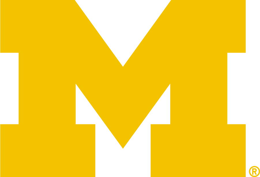 Michigan Wolverines 2016-Pres Primary Logo diy iron on heat transfer